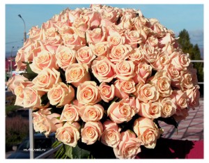 Создать мем: bouquet, rose background, flowers