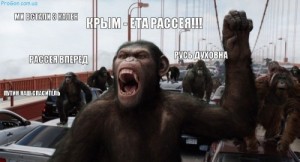 Создать мем: Россия обезьяни