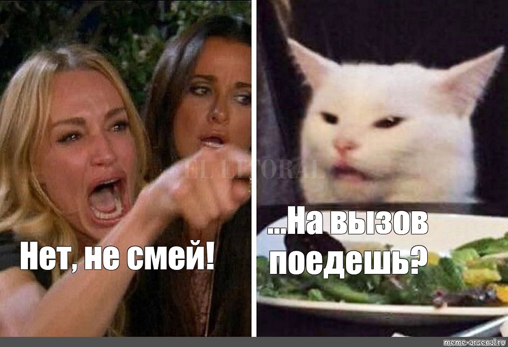 Спорящие коты мем. Мем с женщиной и котом. Мемы с двумя девушками и котом. Мемы про кота и двух женщин. Мем кот и две девушки.
