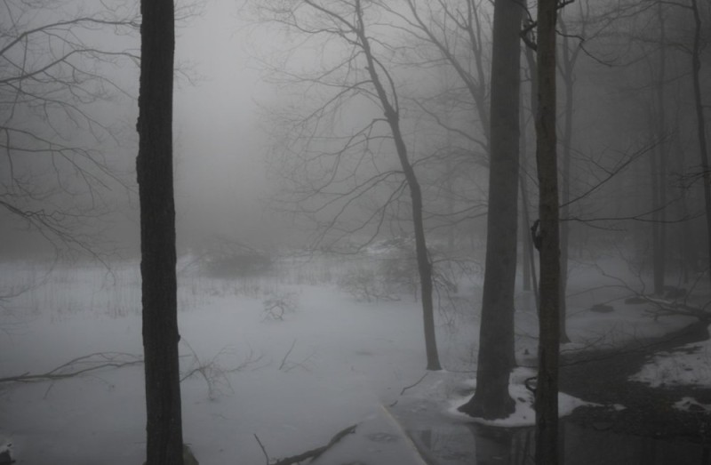 Создать мем: пейзаж мрачный, природа снег, лес туман