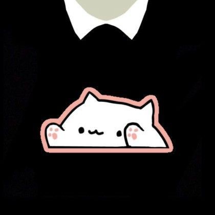 Создать мем: bongo cat t-shirt roblox, бонго кэт мем, bongo cat