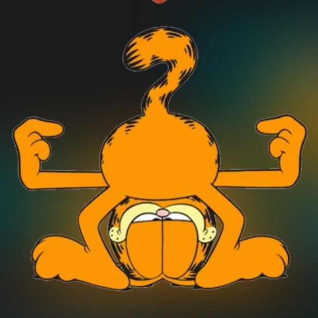 Create meme: garfield , Garfield , Garfield 