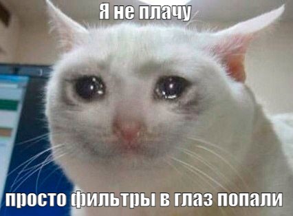 Создать мем: кот плачет мем, кошка плачет мем, кот плачет мем оригинал