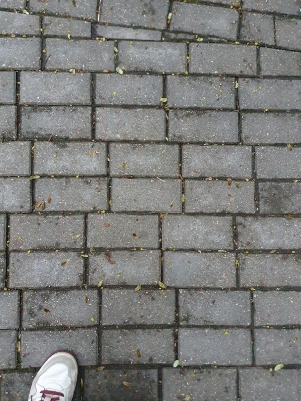 Create meme: tile street texture, paving stones, paving slabs 