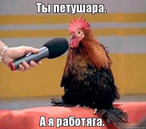 Create meme: rooster, meme cock, cock with microphone