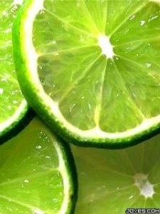Create meme: green fruit, images for ava summer lime, lime 240 320