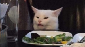 Create meme: cat meme, the cat from the meme at the table, cat at the table