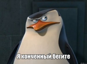 Создать мем: ковальски варианты мем, пингвины мадагаскара шкипер, шкипер мемы