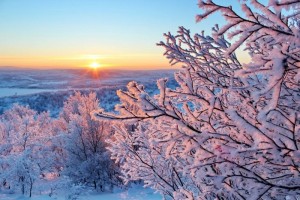 Создать мем: зима природа, зимняя красота, утро зимнее