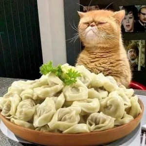 Create meme: cat dumpling, dumplings dumplings, dumplings