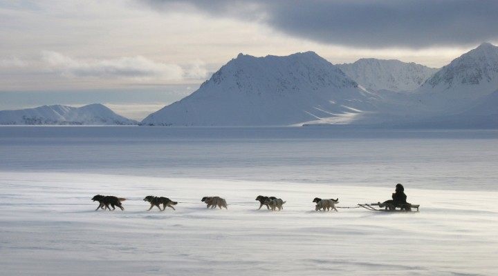 Create meme: living conditions in the Arctic, Chukotka tundra, The Chukchi Peninsula