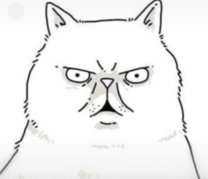 Create meme: cat drawing , memes cat, angry cat 