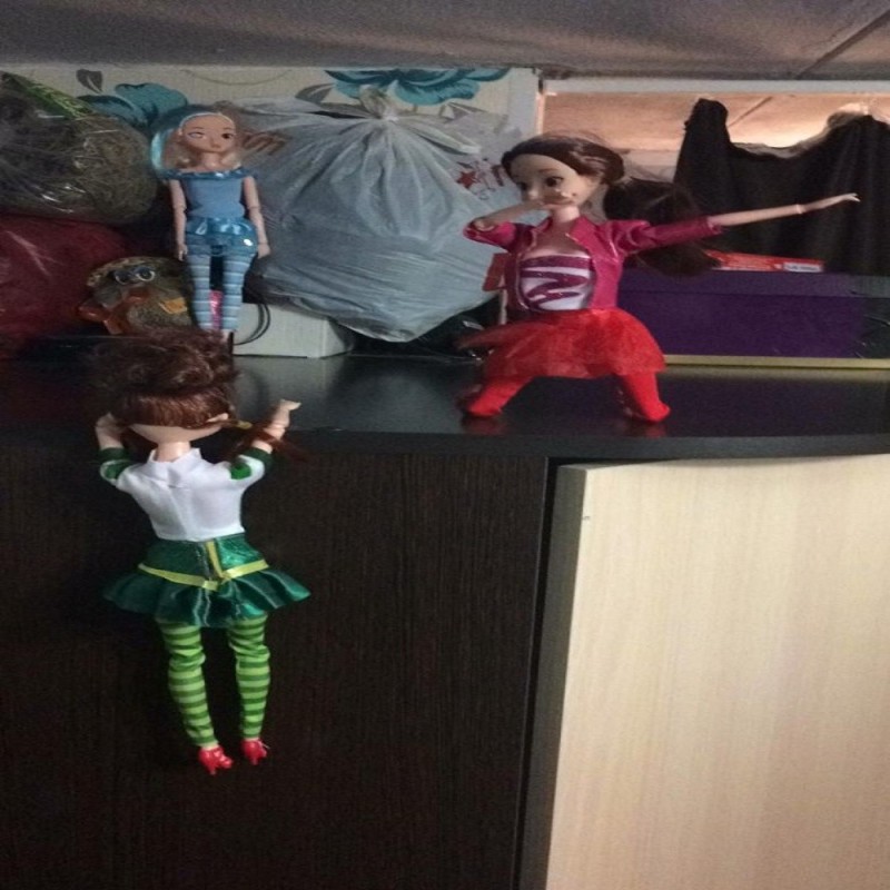 Create meme: masha fairy patrol doll, fairy patrol doll, doll 