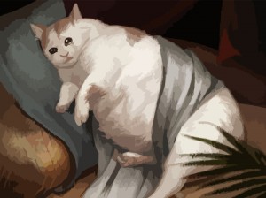 Create meme: animals cats, animals cats, fat cat