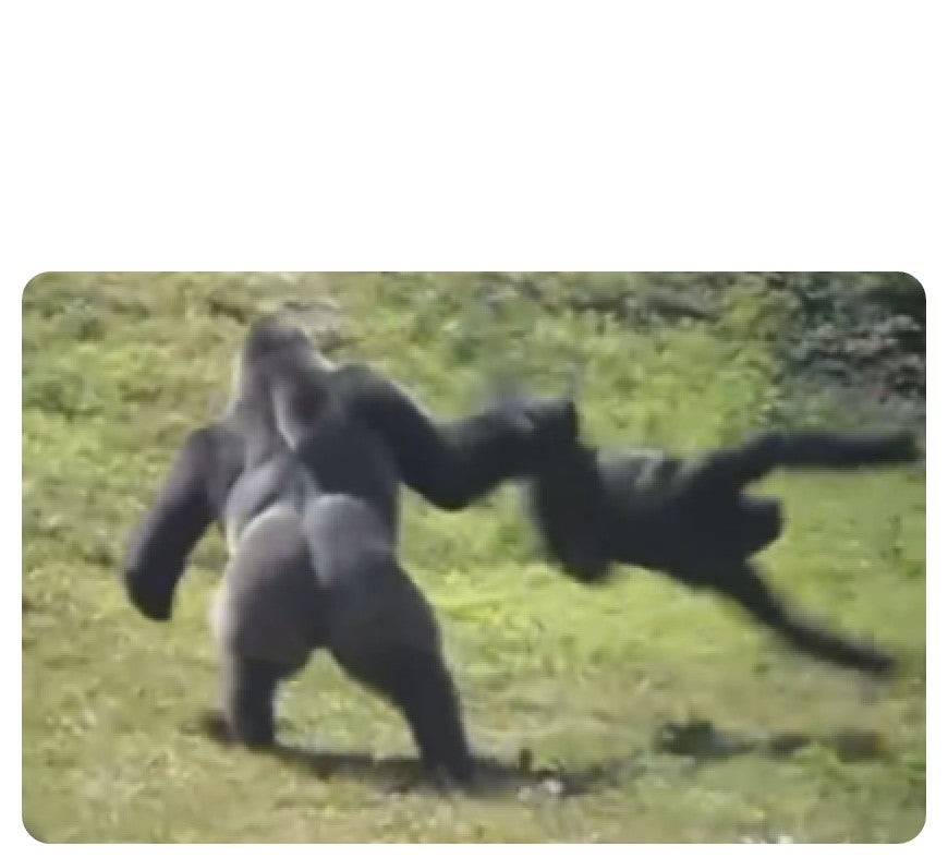 Обезьяна кидает обезьяну