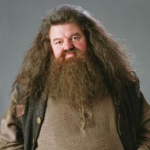 Create meme: Hagrid