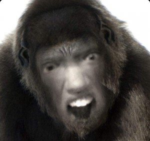 Создать мем: обезьяна, планета обезьян 2011 лаборатория, йети