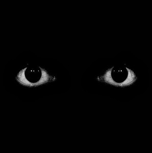 Create meme: black background, darkness, eyes in the dark