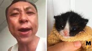 Создать мем: angry asian man, chinese man yelling at a kitten стикер телеграмм, китаец кричит на котенка мем