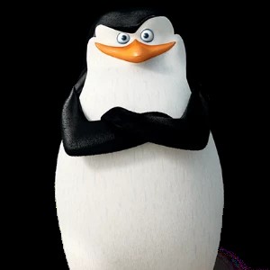 Create meme: skipper , penguin skipper , the Madagascar penguins