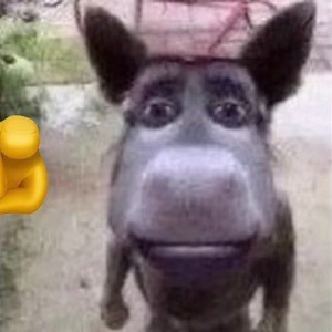 Create meme: donkey shrek, Shrek donkey , funny donkey