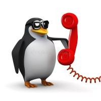 Create meme: penguin calling by phone, penguin with phone meme, the penguin with the phone