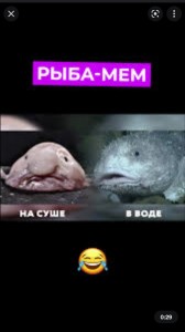 Create meme: fish, fish drop