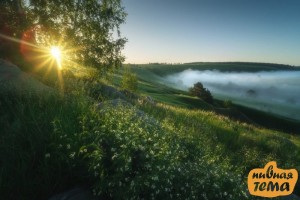 Create meme: nature dawn, morning summer