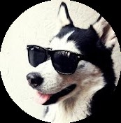 Создать мем: крутая собака, дарья романова ангарск, mykola naumov