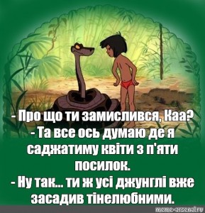 Создать мем: анекдоты, юмор приколы, книга джунглей 1967 каа