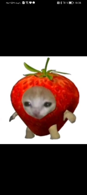 Create meme: cat apple meme, Yegor Letov , my head