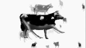 Создать мем: корова корова, корова танцует под польскую музыку, танцующая корова