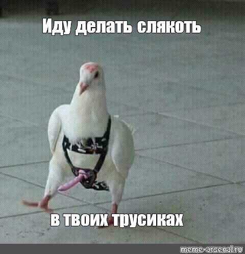 Все Трусиках Фото