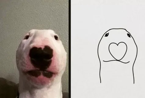 Создать мем: собака мем, белая собака мем, бультерьер мем
