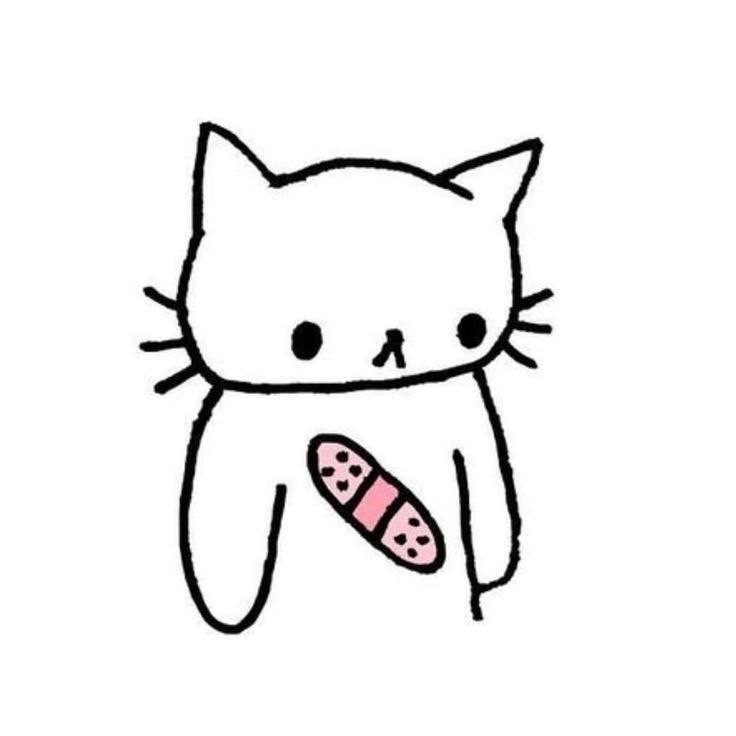 Create meme: a cat with a plaster drawing, cute drawings, light drawings are cute