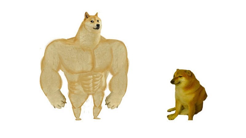 Создать мем: собака с мускулами мем, мем накаченная собака, сиба ину мем качок