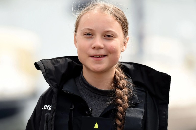 Create meme: Greta Thunberg, greta thunberg with pigtails, Greta thunberg now