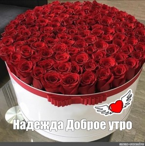Create meme: red roses in a hat box, roses in box, red roses in box
