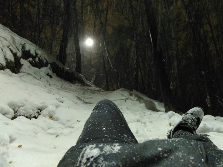 Create meme: winter aesthetic dark, darkness, in the winter forest