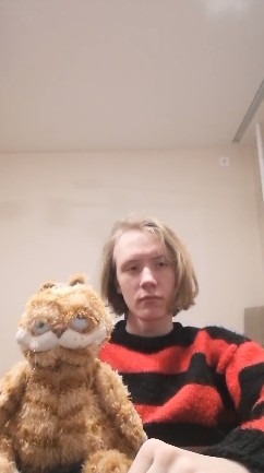 Create meme: garfield toy, soft toy Garfield, toy cat 