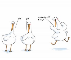 Create meme: stickers goose, goose comic, geese of procerus pictures