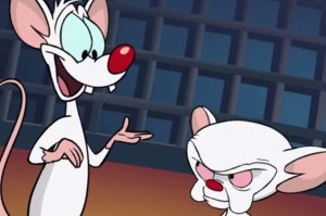 Create meme: pinky and brain Billy, pinky and the brain animated series, pinky and brain