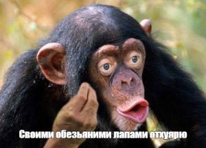 Создать мем: обезьяна с губами, обезьяны шимпанзе, шимпанзе мем