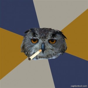 Create meme: owl , stoned owl , owl art student