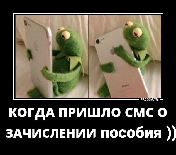 Create meme: kermit the frog with the phone, payday, My usual day, me and the phone wake up