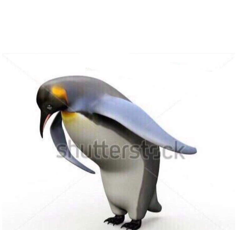 Create meme: penguin , blurred image, penguin meme