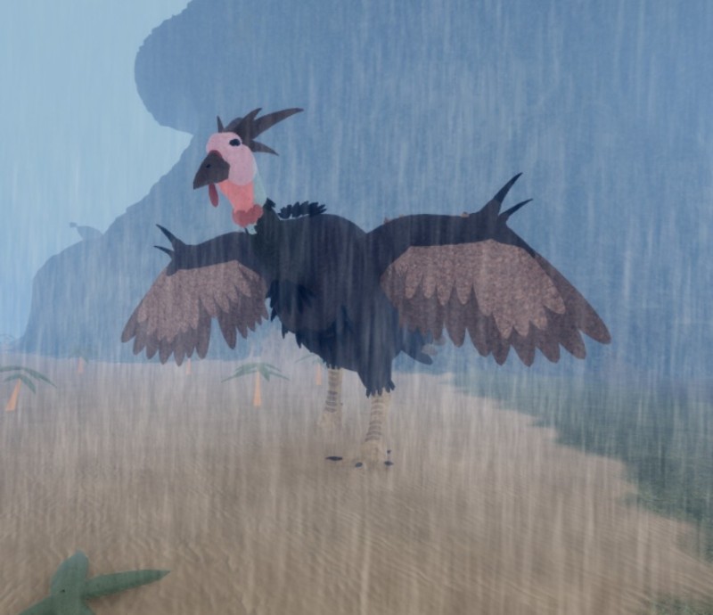 Create meme: The crane is a bird, figure , The Andean condor bird