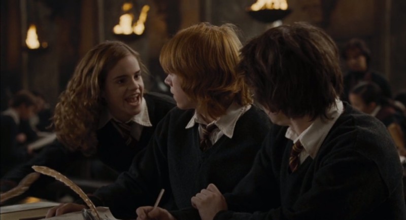 Create meme: hermione granger, Harry Potter , harry potter hermione granger