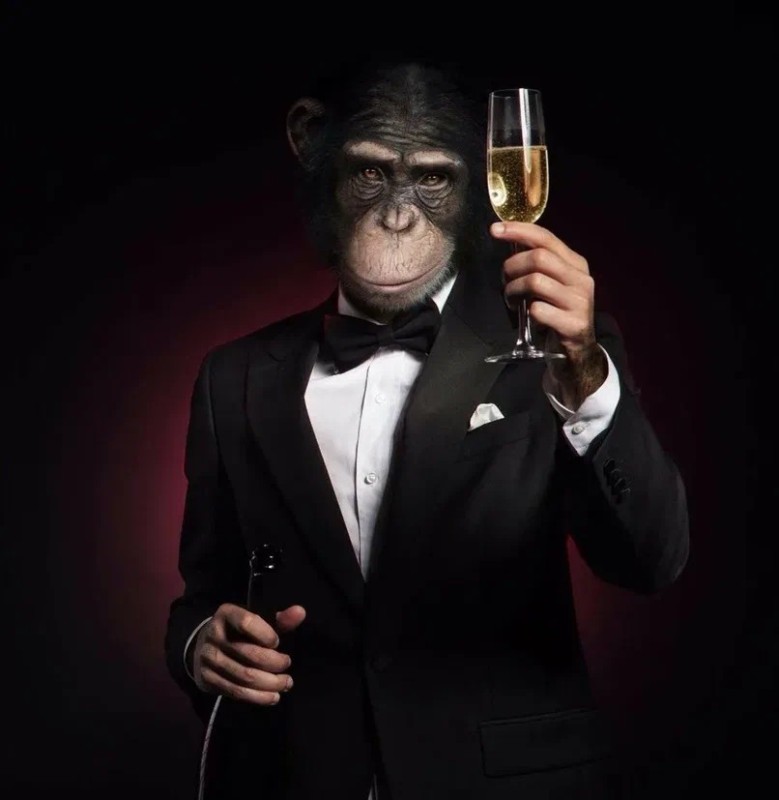Create meme: monkey in a suit with a glass, monkey with a glass meme, monkey with a glass