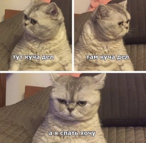 Создать мем: кот, текст, хочу спать мем с котом